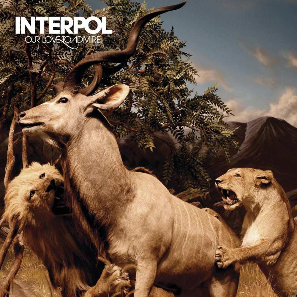 interpol_our love to admire