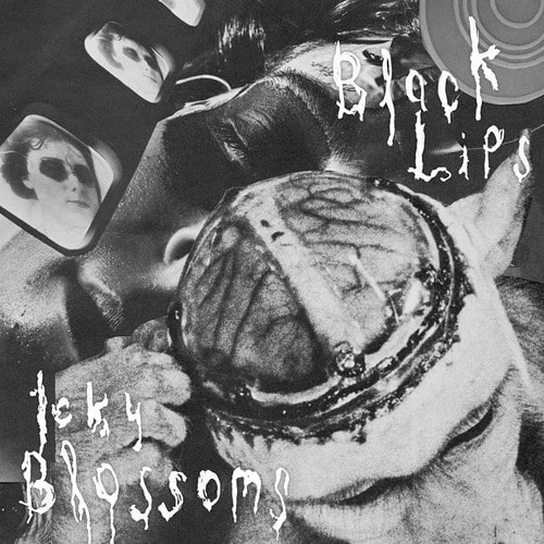 The Black Lips se unen al Record Store Day