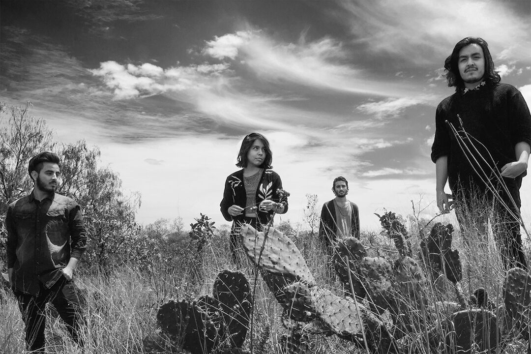 ¿Ya conoces a el rock de Jean Loup? Indie Rocks!