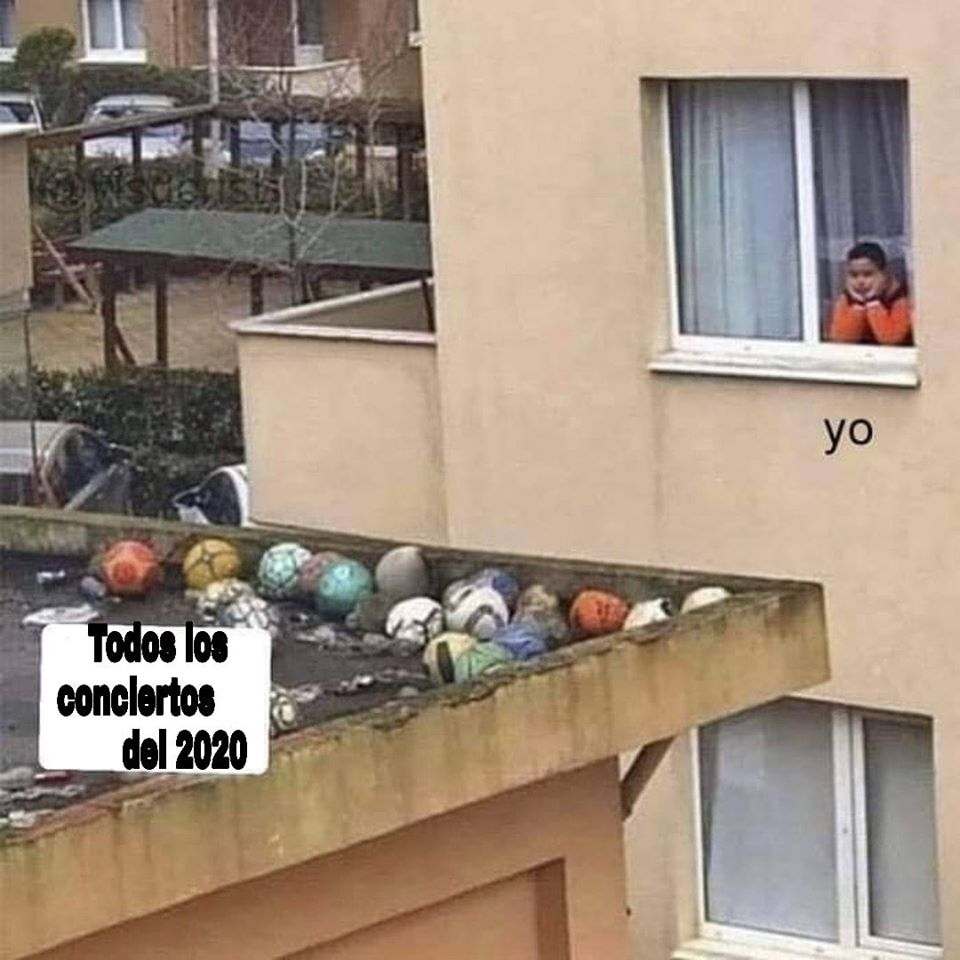 Conciertos cancelados 2020 meme