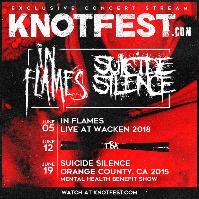 knotfest online_poster