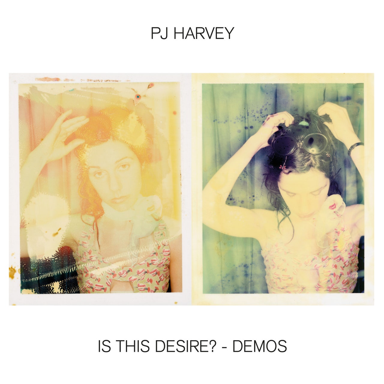 PJ-Harvey-2020