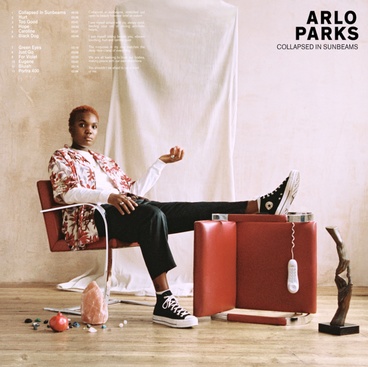 ND- Arlo Parks debut album