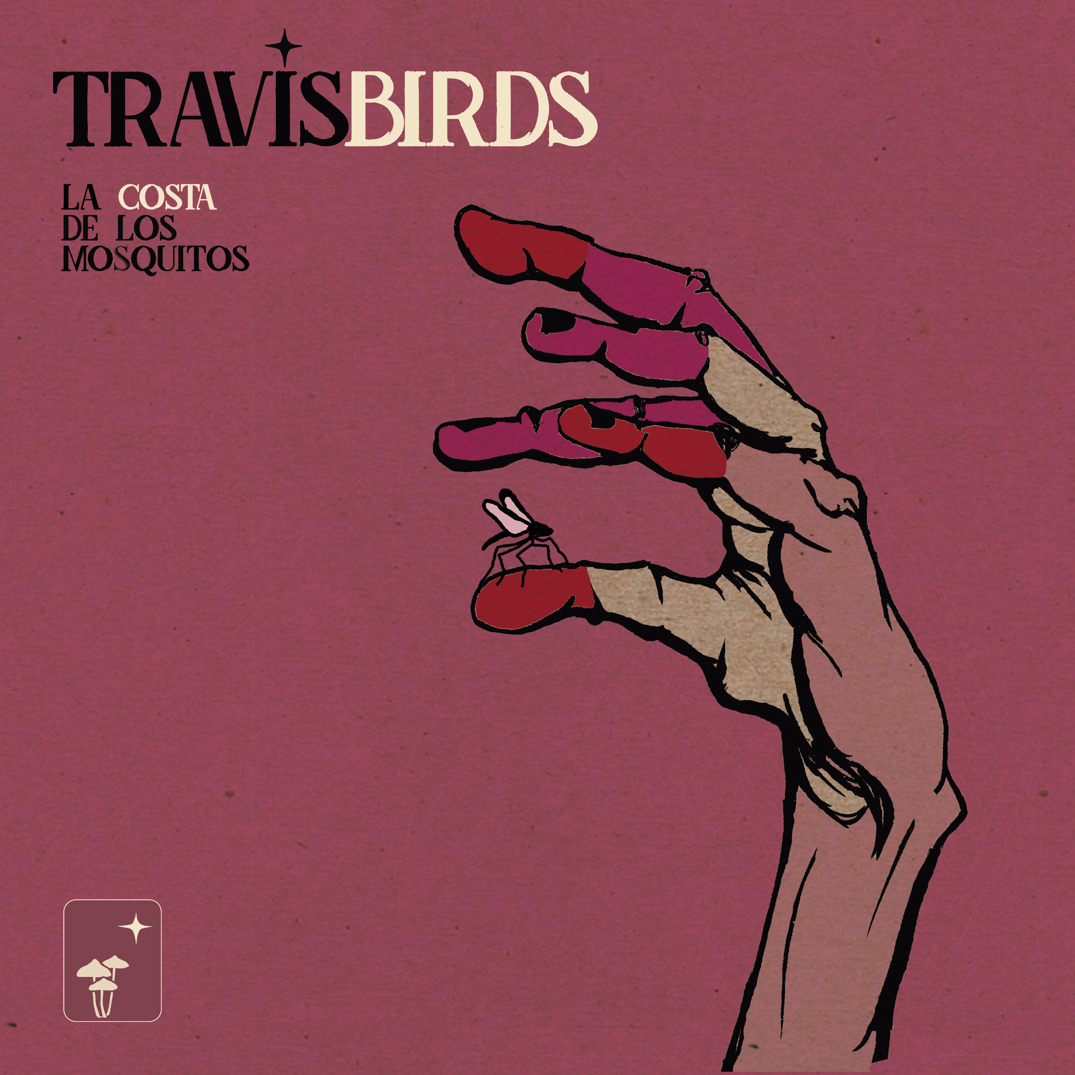 travis_bird_disco_2021