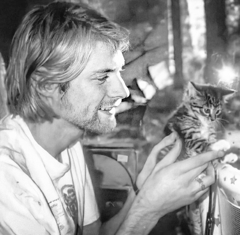 Kurt Cobain_