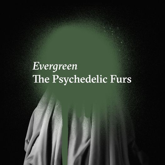 The Psychedelic Furs (Eevergreen)