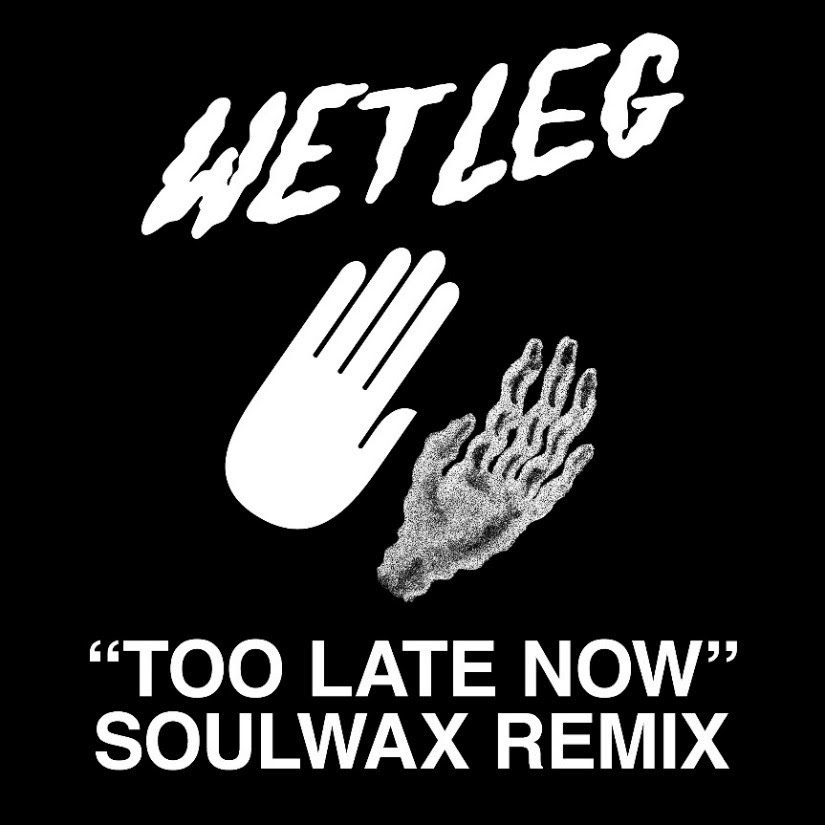 Wet-leg-too-late-now-soulwax-remix