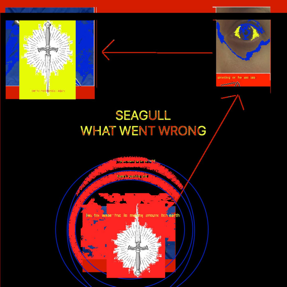 what went wrong - seagull
