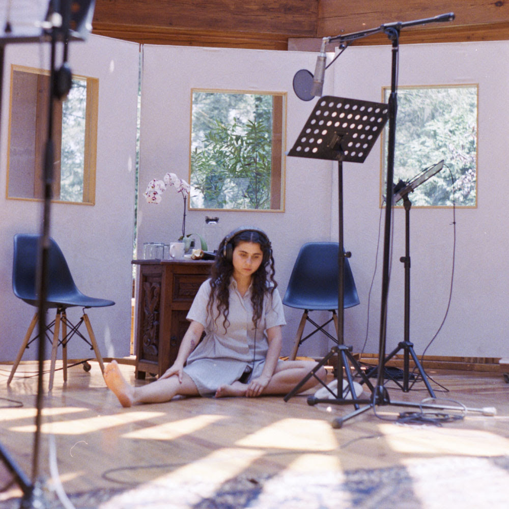 Silvana Estrada versiona "Tom's Diner"