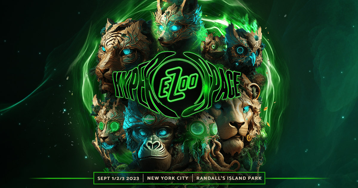 ¿Qué pasó en el festival Electric Zoo?