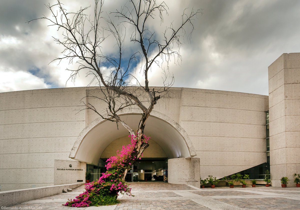 Escuela Superior De Música