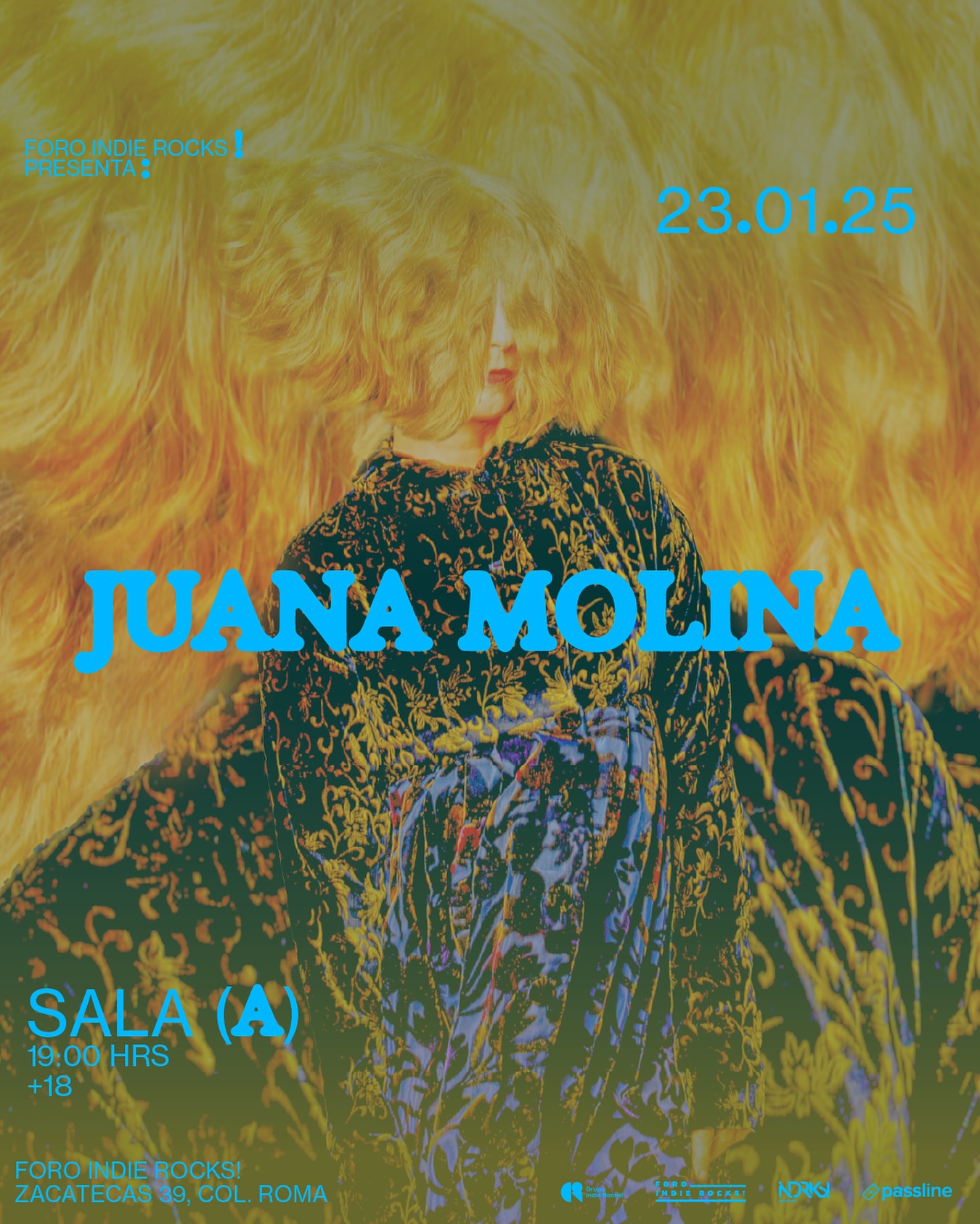 Juana Molina Póster