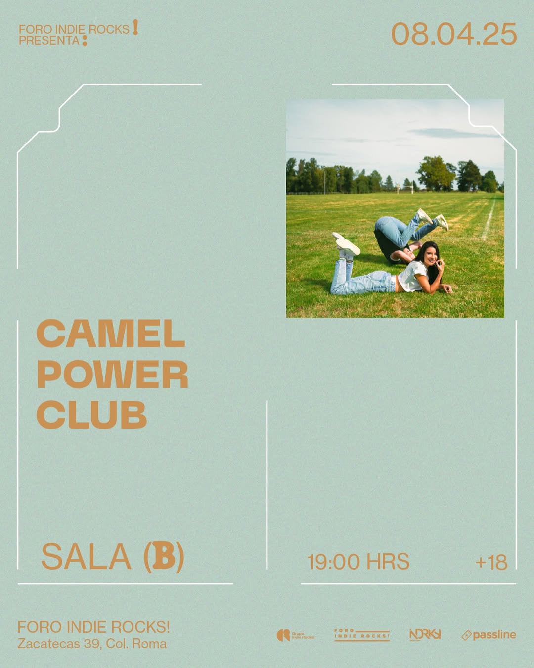 Camel Power Club