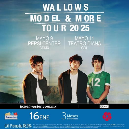 Wallows Pepsi Center