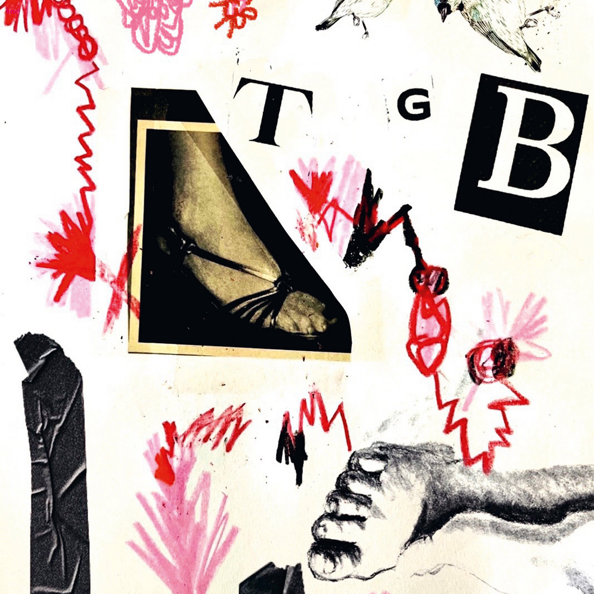 Teri Gender Bender — TGB