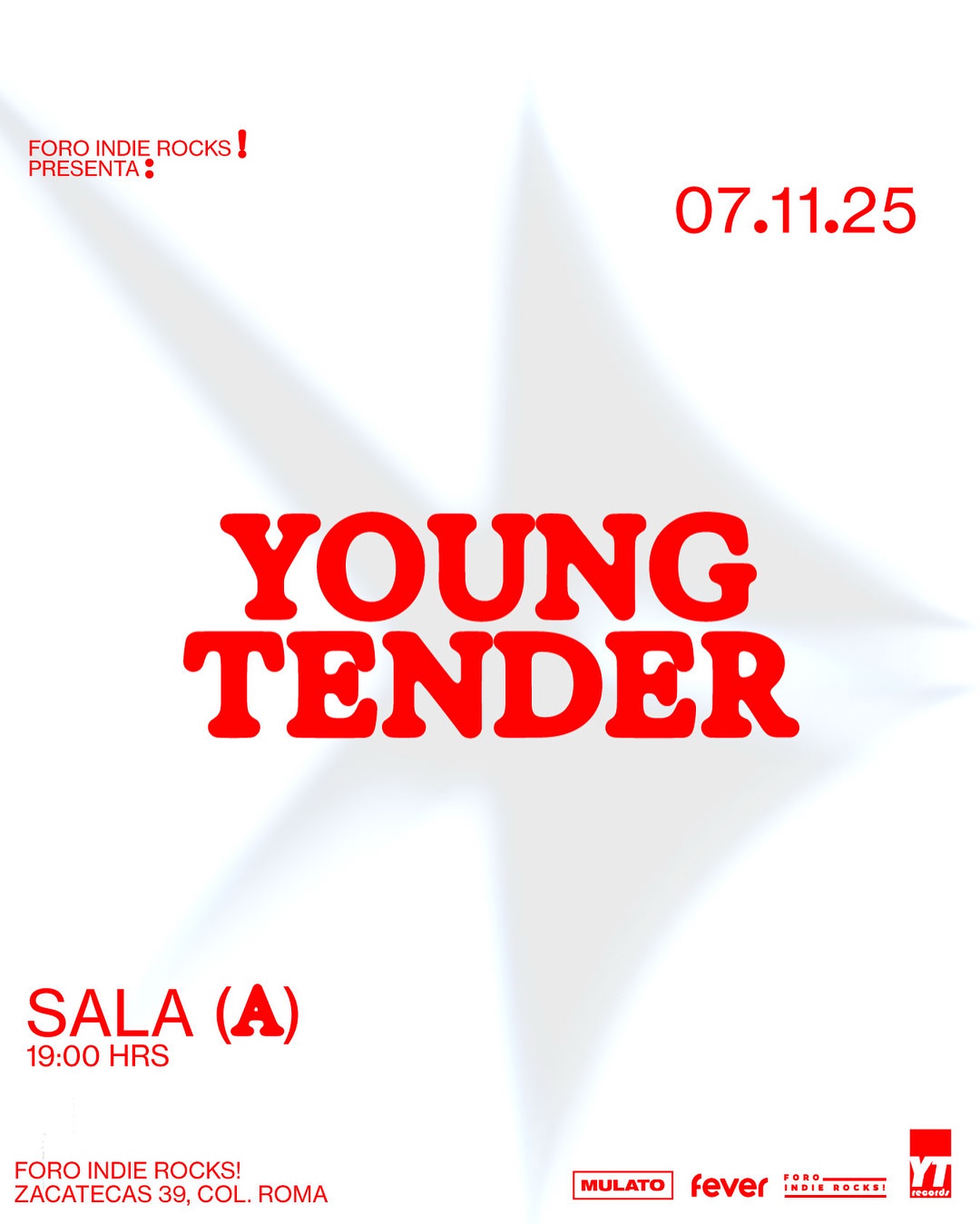 Youngtender foro ir