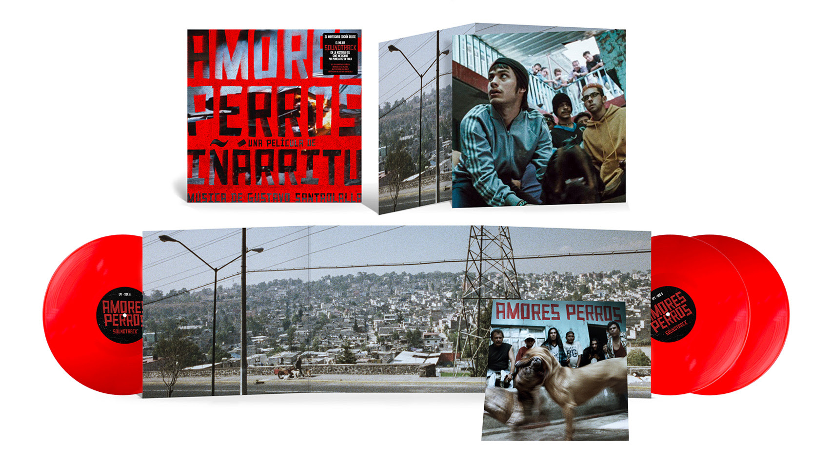 Amores perros vinilo