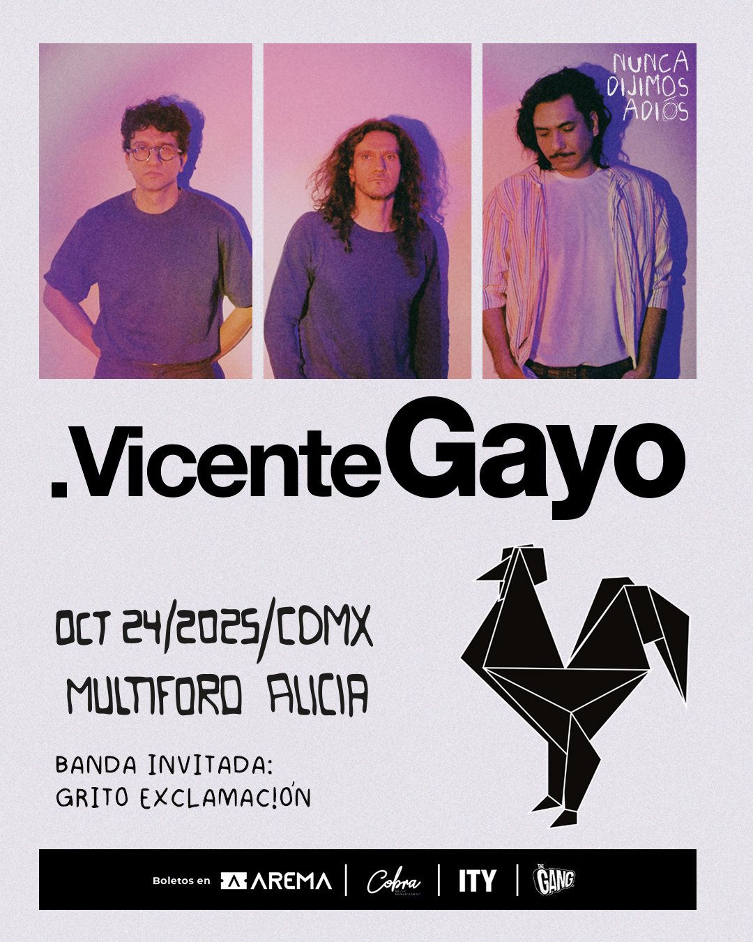 Vicente gayo foro alicia