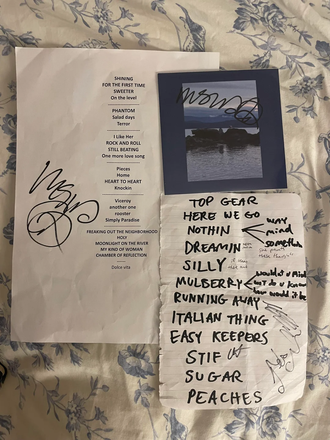 ‘Dog On The Rock’, el álbum “secreto” de Mac DeMarco