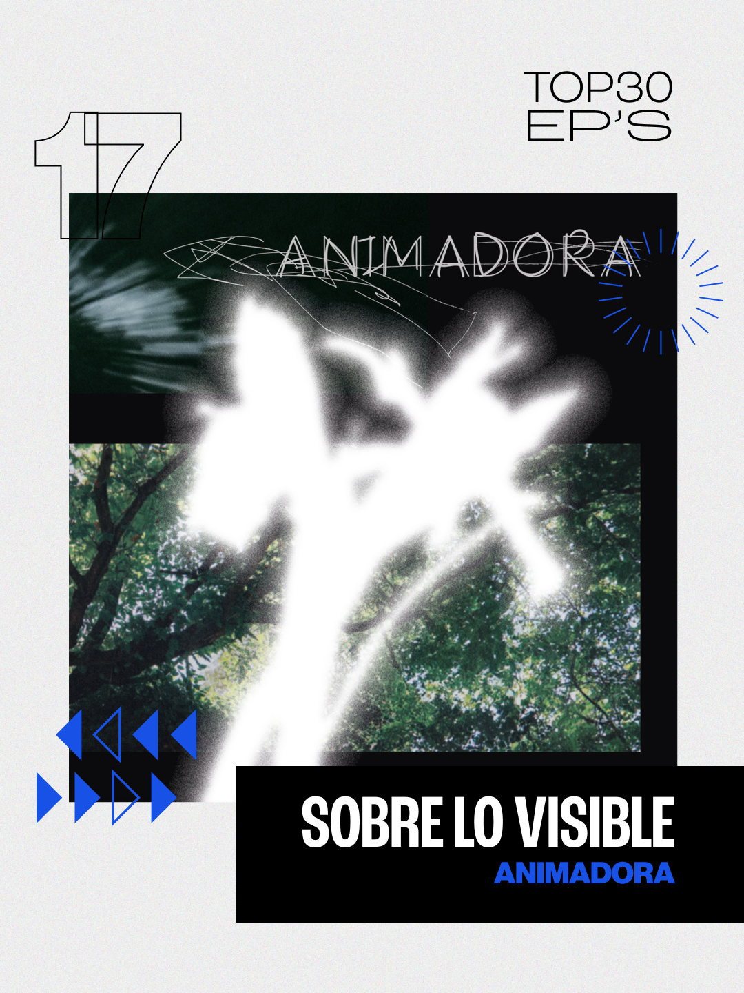 Animadora 17