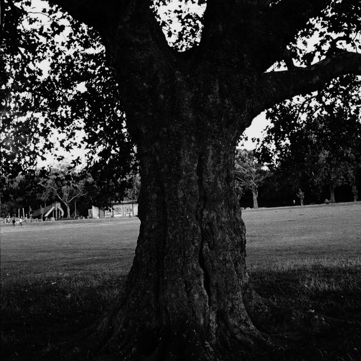 Archy marshall a new place 2 drown