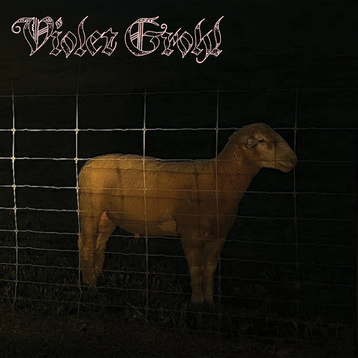 Violet Grohl debuta con “THUM”