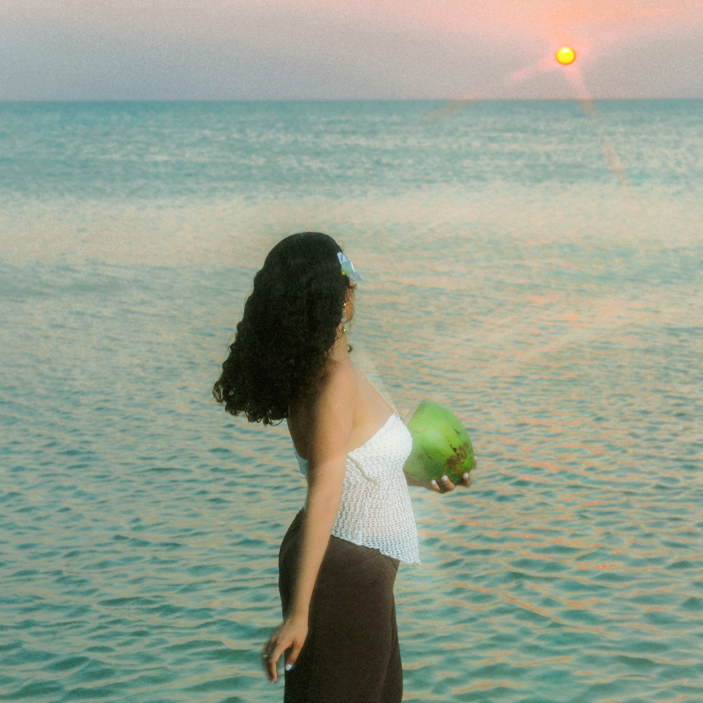 Valeria jasso un largo viaje (portada)