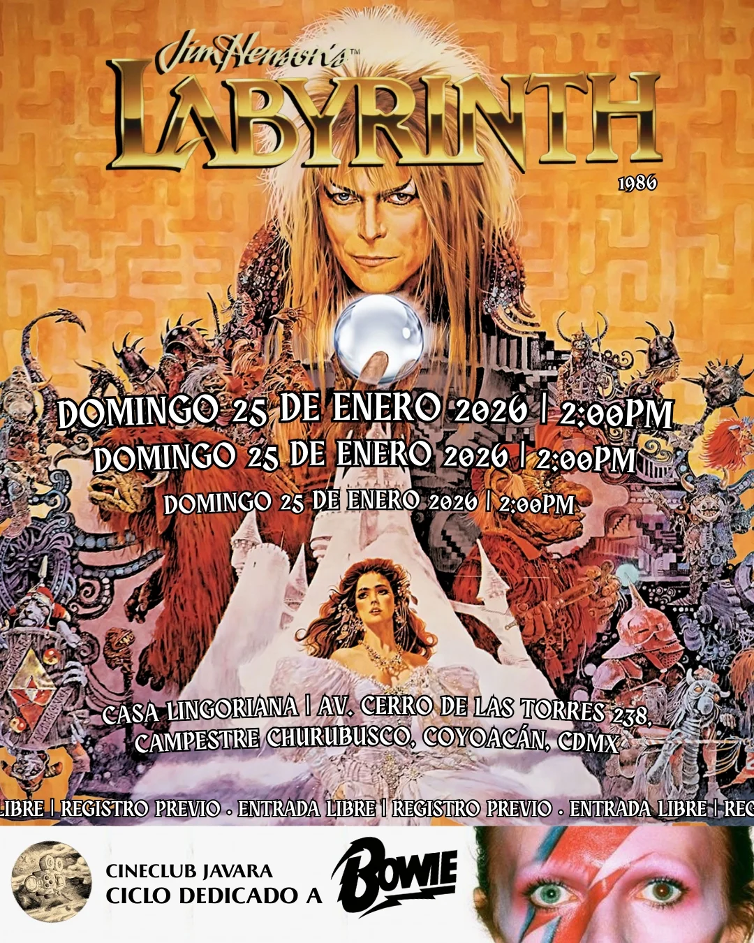 Labyrinth cine