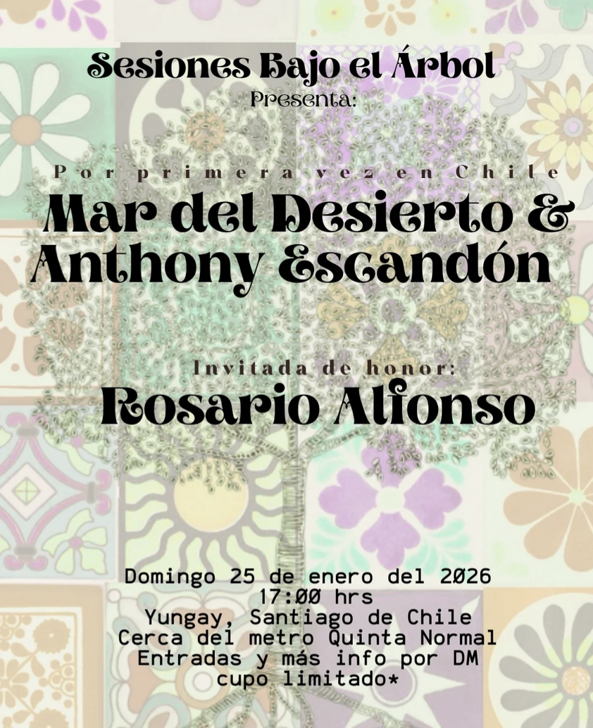 9 mar del desierto concierto