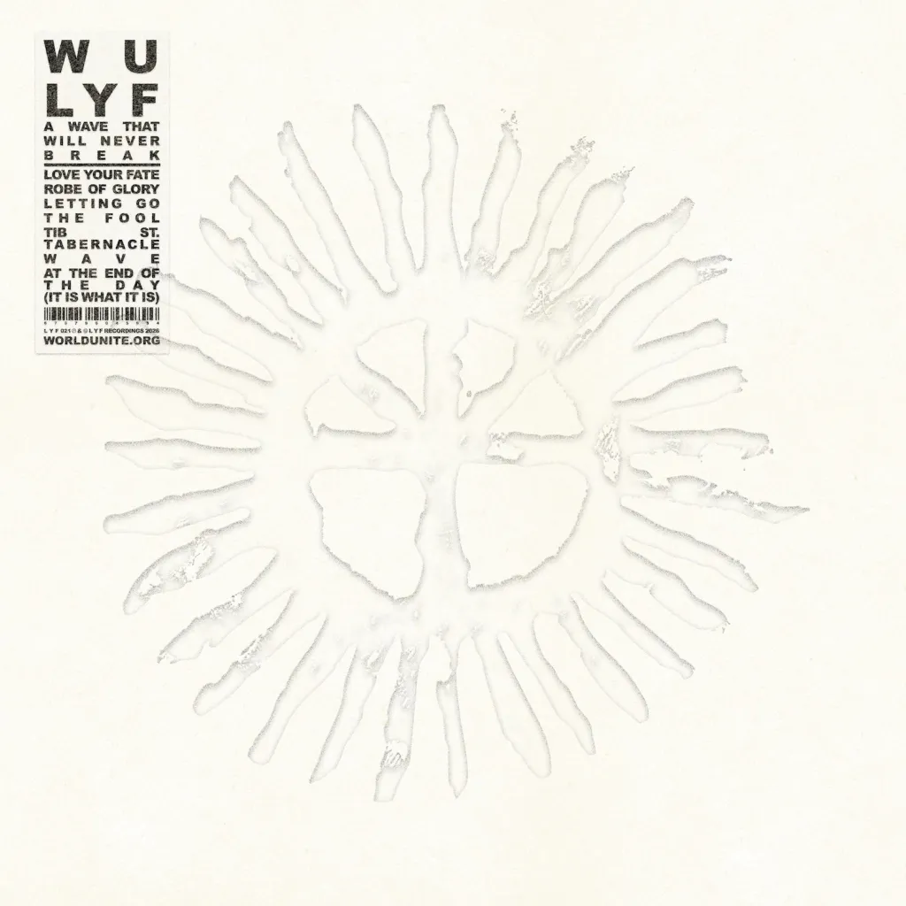 Wu lyf a wave that will never break