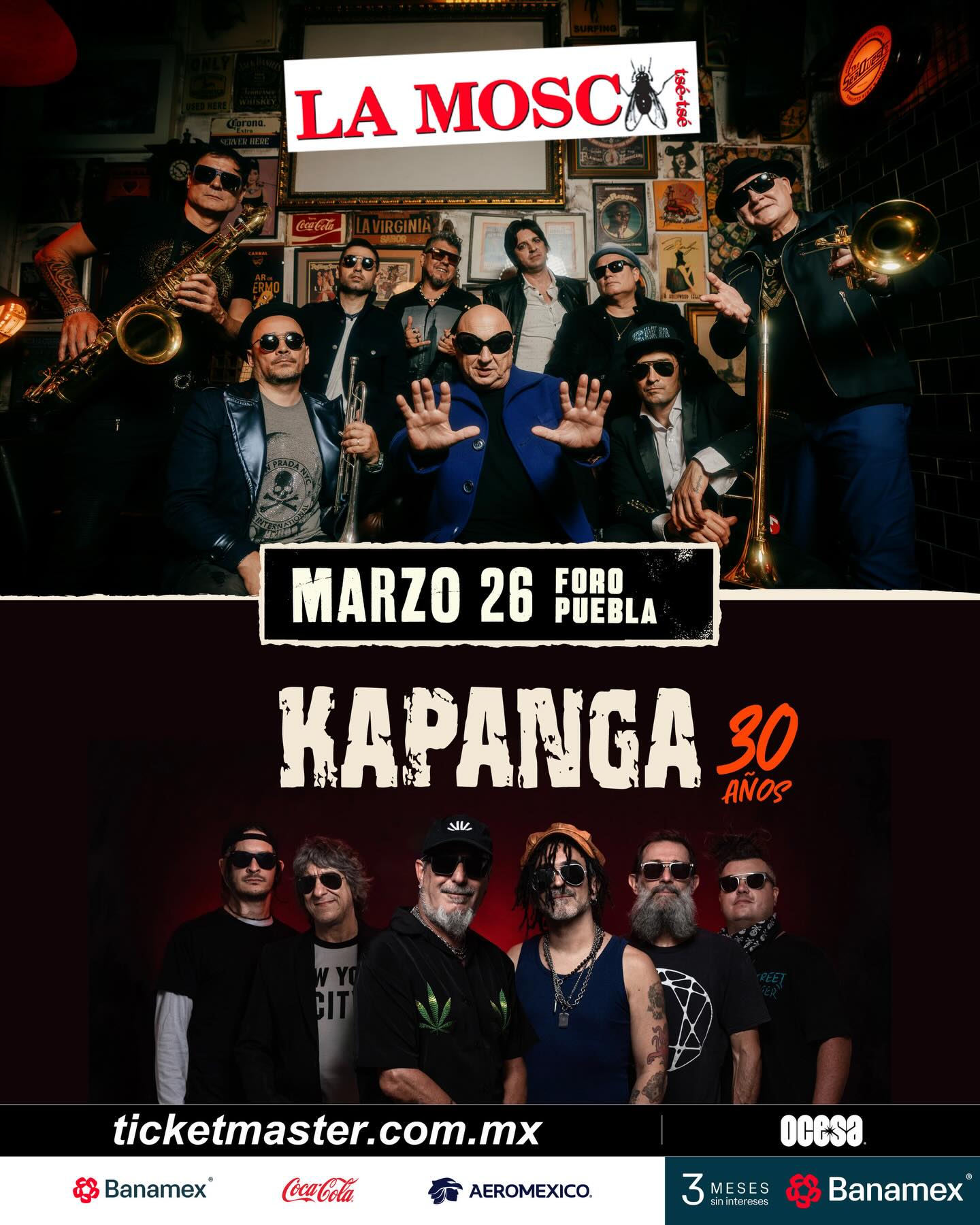 La mosca foro puebla