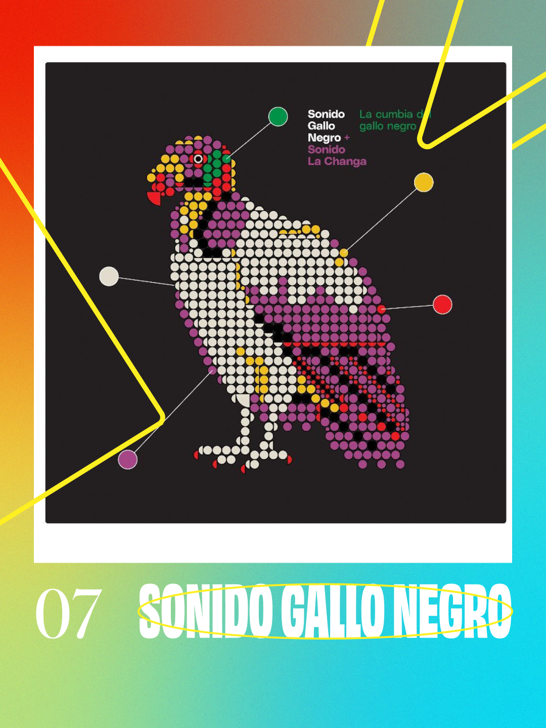 14 sonido gallo negro