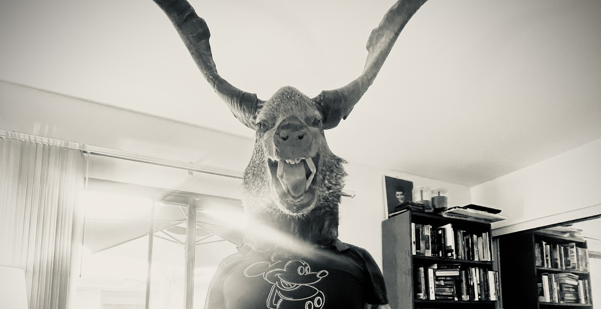 Damaged Bug comparte “Over-Exposed”