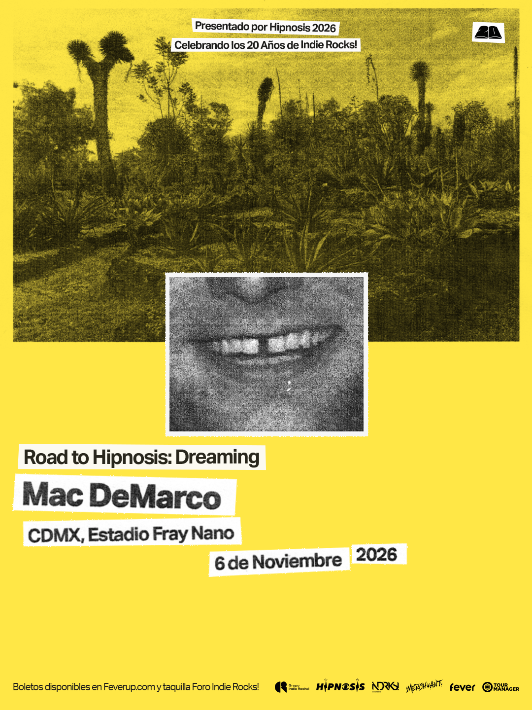 PRECIOS: Road to Hipnosis Dreaming  || Mac DeMarco en México