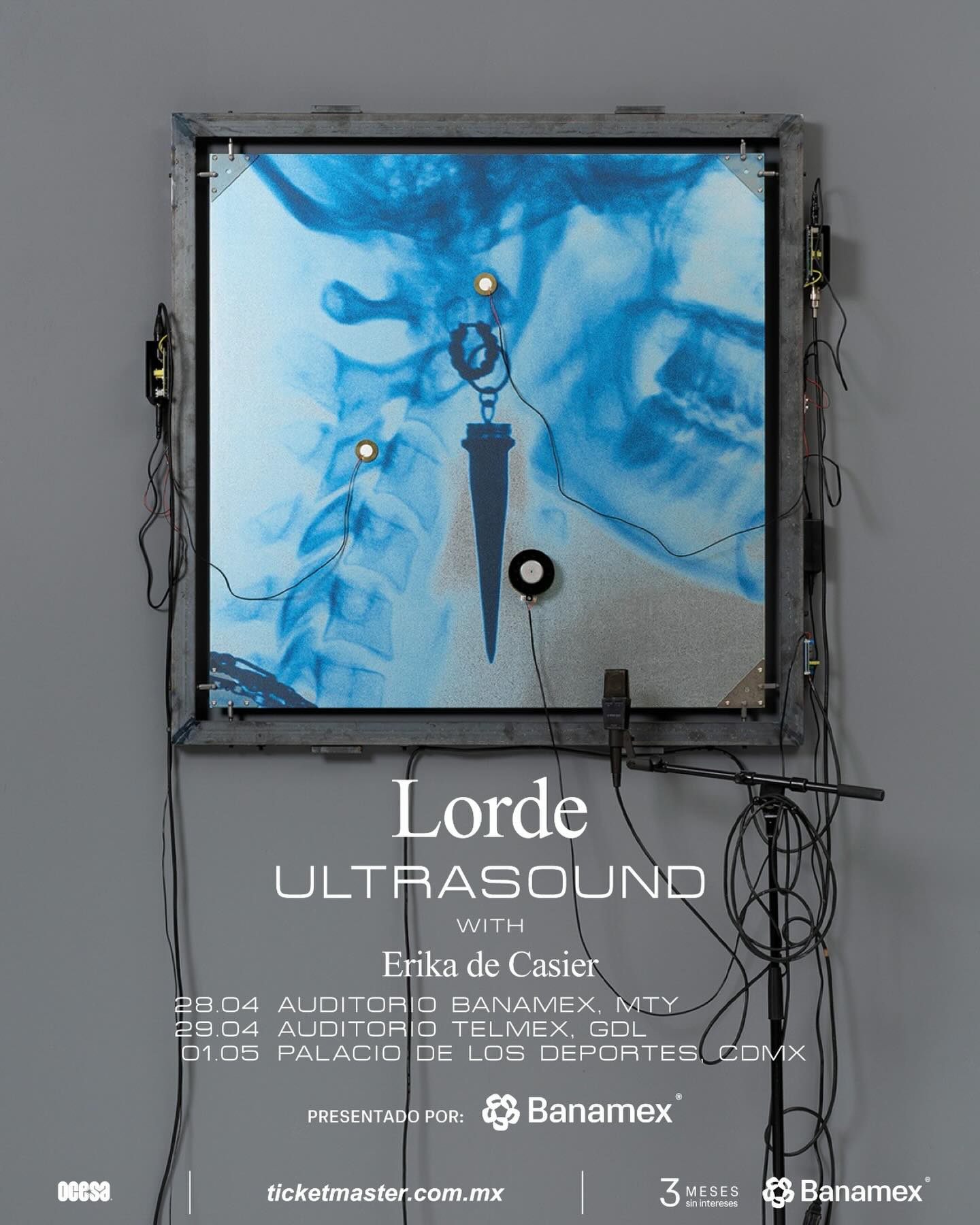 Lorde erika de casier palacio de los deportes