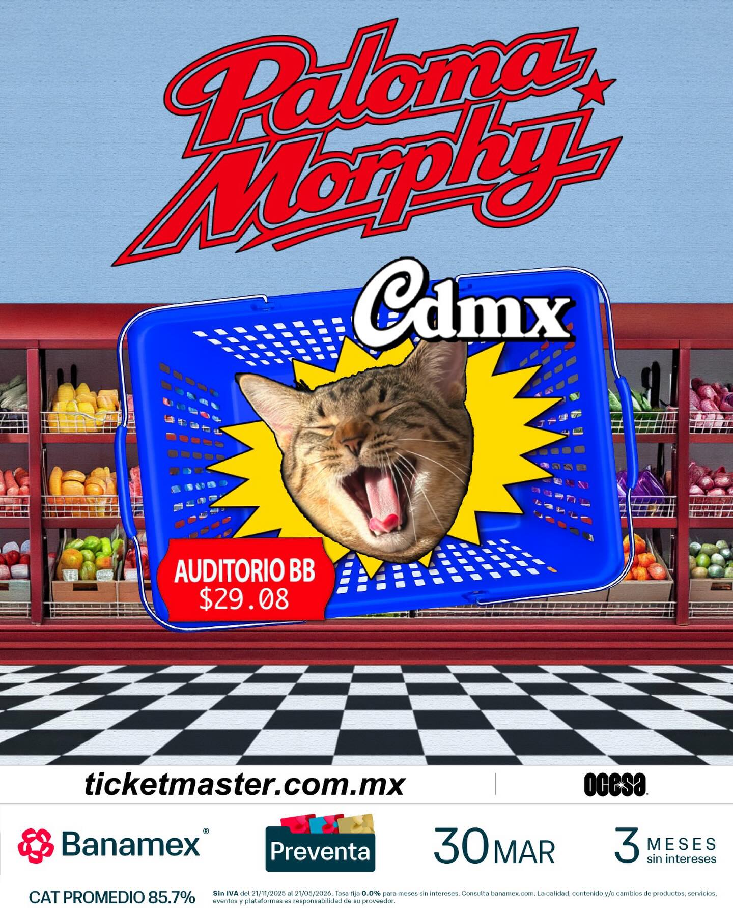 Paloma morphy auditorio bb