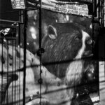 Photo 18 01 2023, 10 16 24 (2)