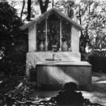 Photo 18 01 2023, 10 16 24 (3)