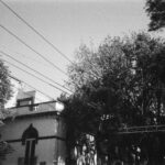 Photo 18 01 2023, 10 16 24 (4)