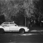 Photo 18 01 2023, 10 16 24 (5)