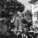 Photo 18 01 2023, 10 16 24 (7) (1)