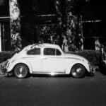 Photo 18 01 2023, 10 16 24 (8)