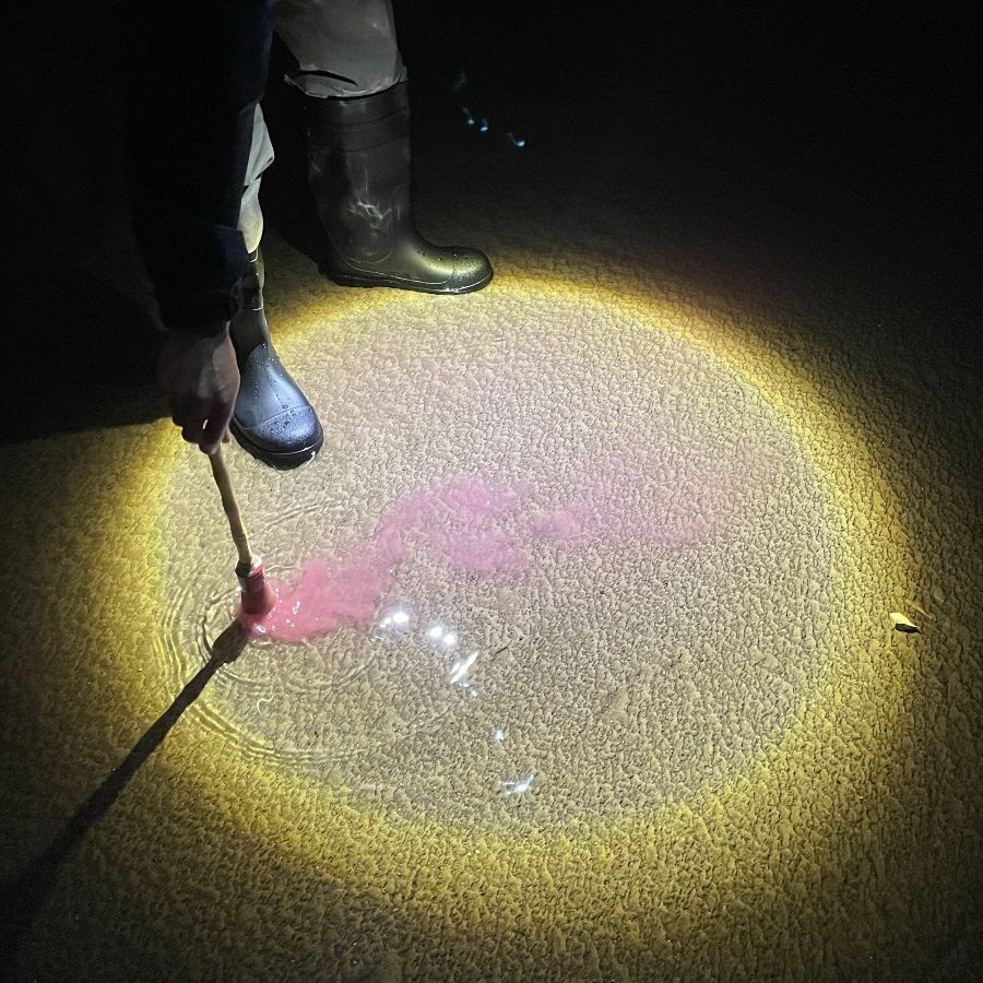 Diles que no me maten escrito en agua