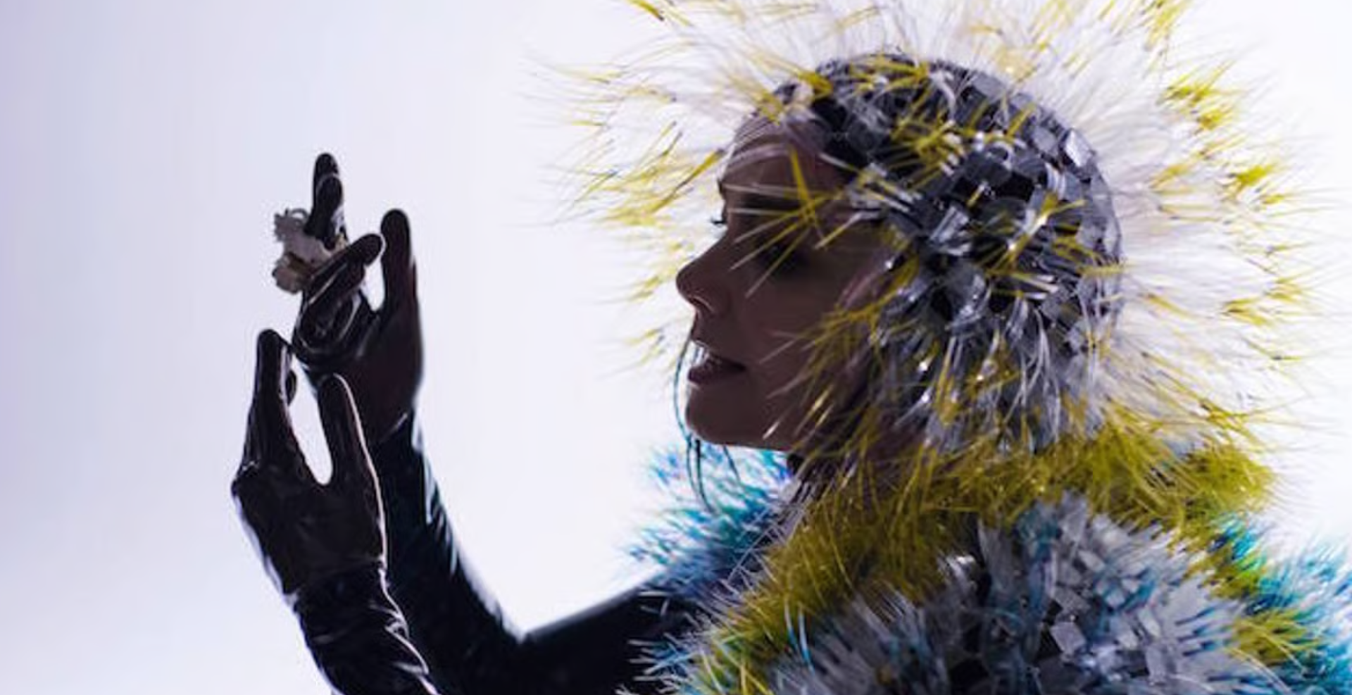 Björk presenta “Nerve Bloom” en su nueva exposición