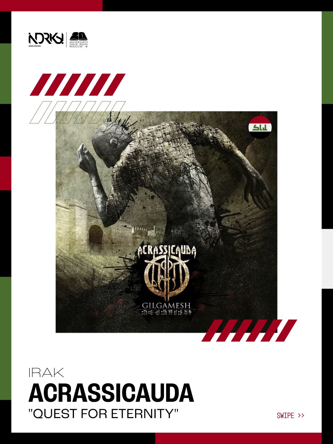 C acrassicauda