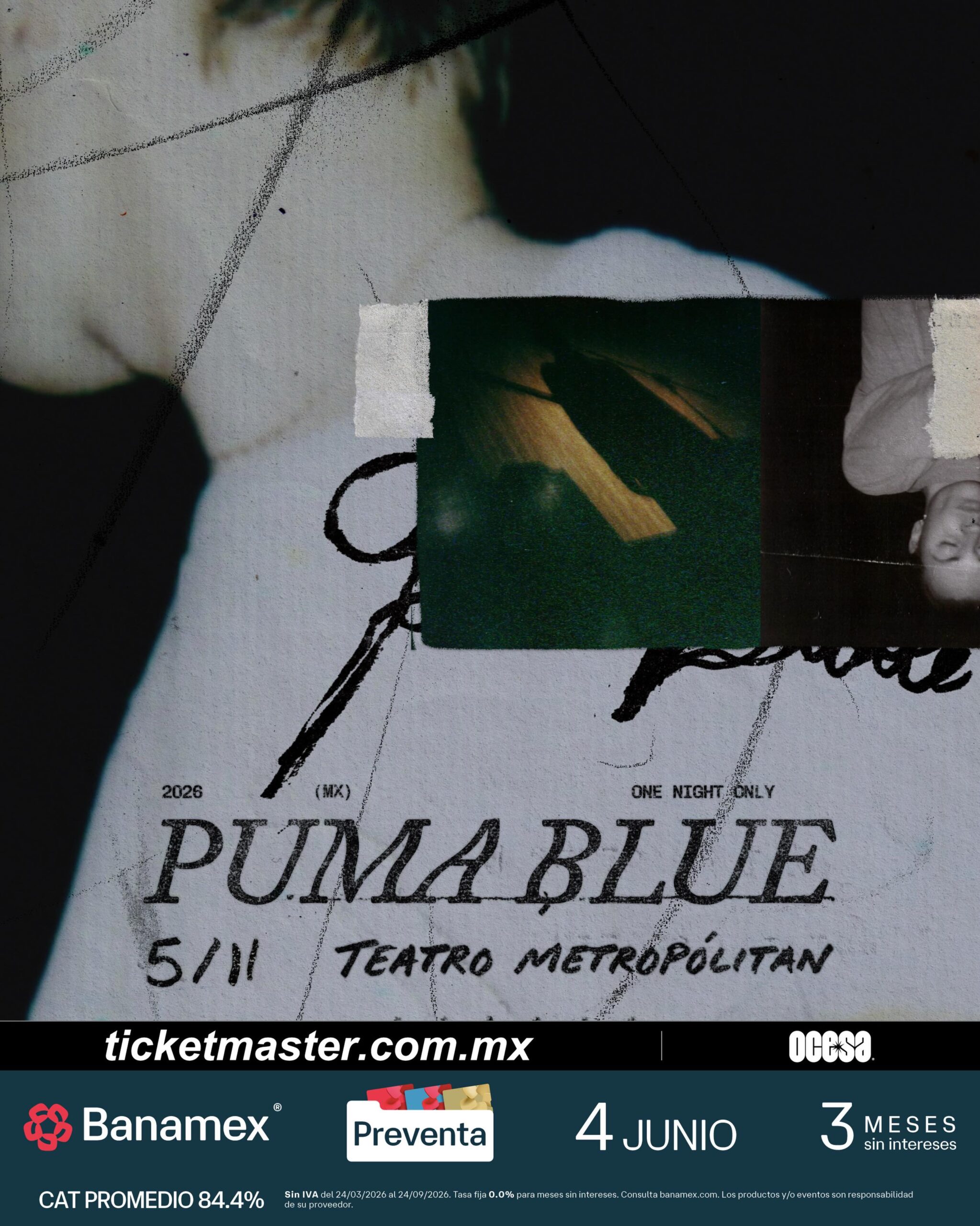 PRECIOS: Puma Blue anuncia show en el Teatro Metropólitan