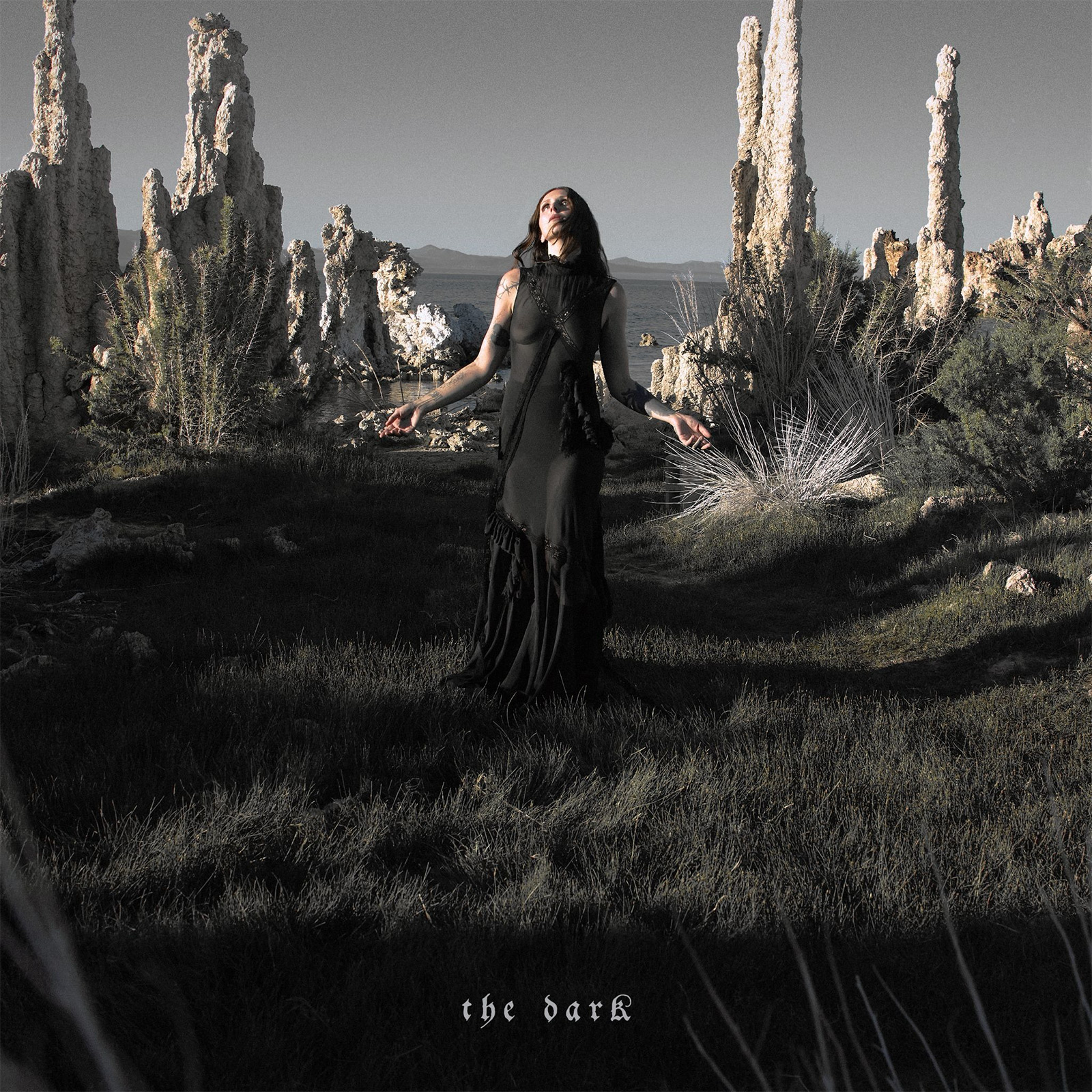 Chelsea wolfe the dark