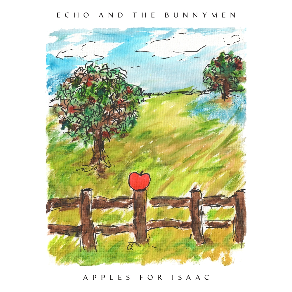 Echo and the bunnymen new album artwork apples for isaac