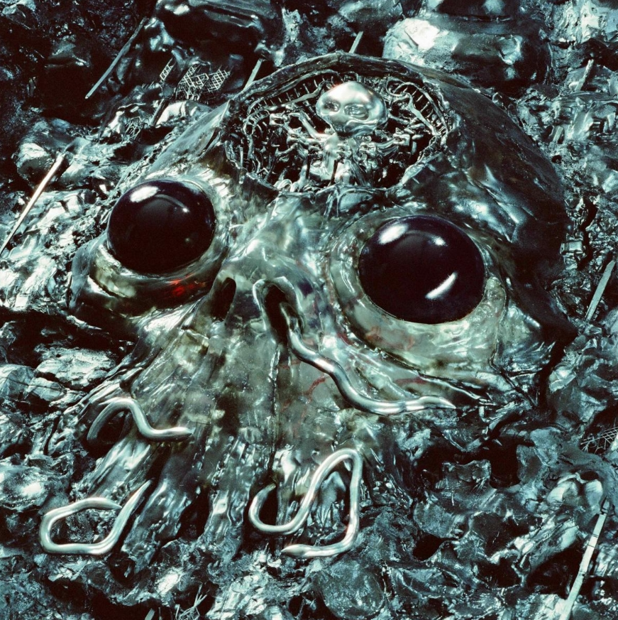 Kinggizzard & thelizardwizard