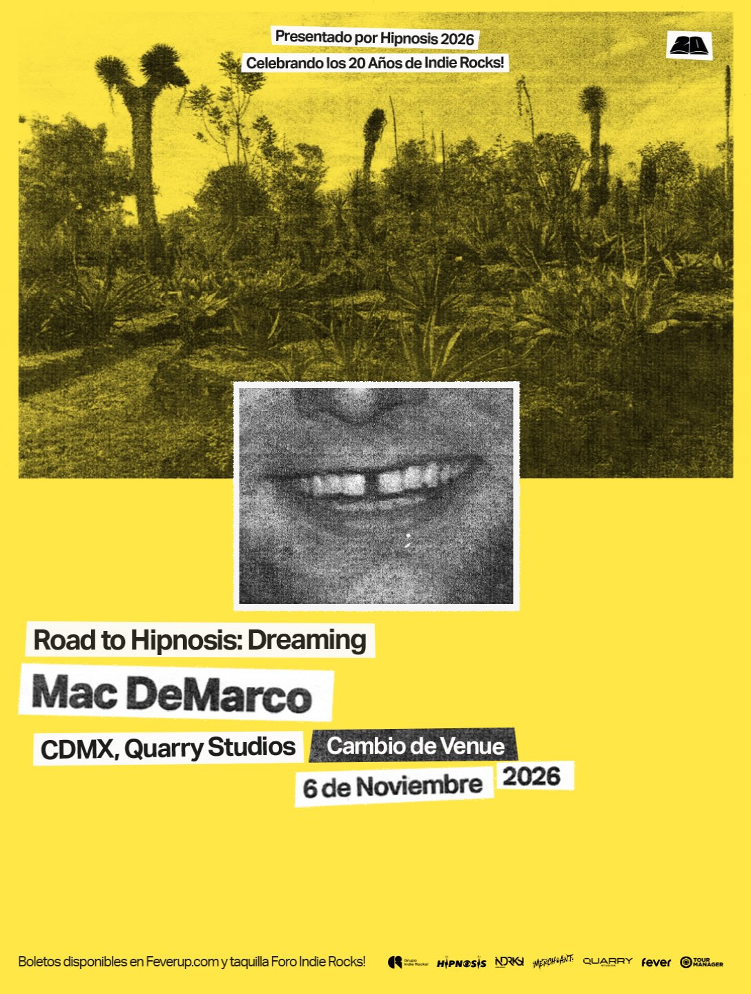 Mac demarco quarry studios